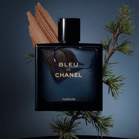 bleu de chanel 100ml pour homme cena|chanel bleu parfum 100ml price.